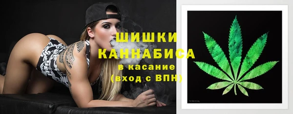 прущие грибы Абдулино